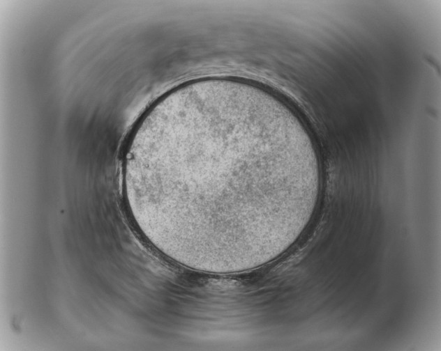 X0000102391509200808221813