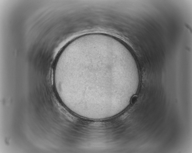 X0000102391510200808221813