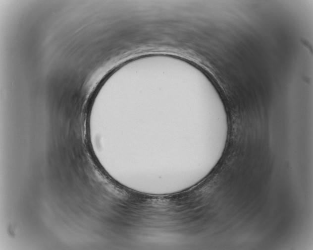 X0000102391511200808221813