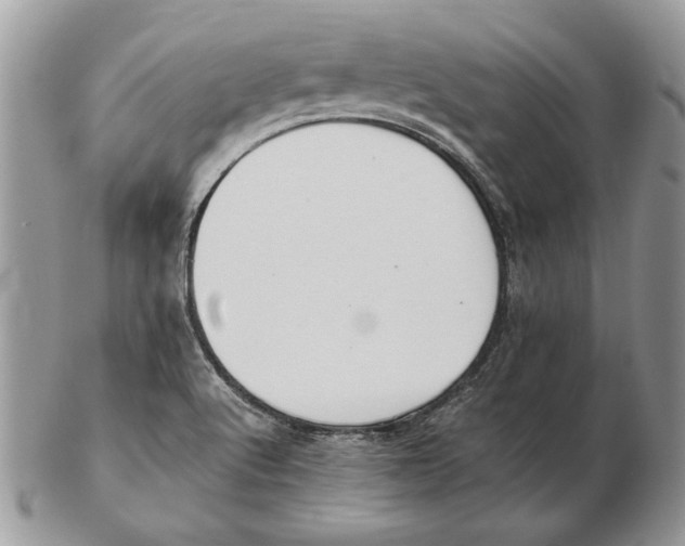 X0000102391512200808221813