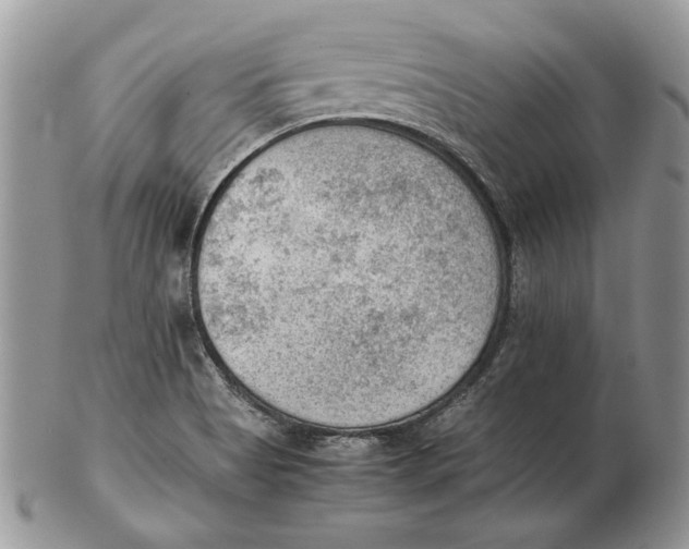 X0000102391513200808221813