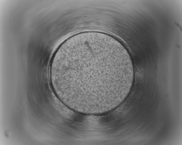 X0000102391514200808221813