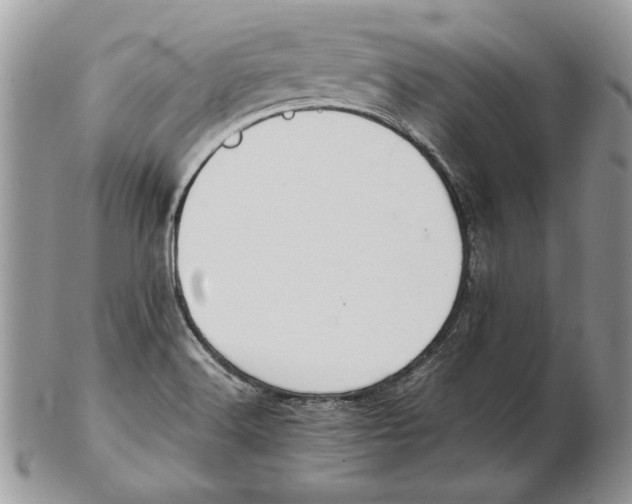 X0000102391516200808221813