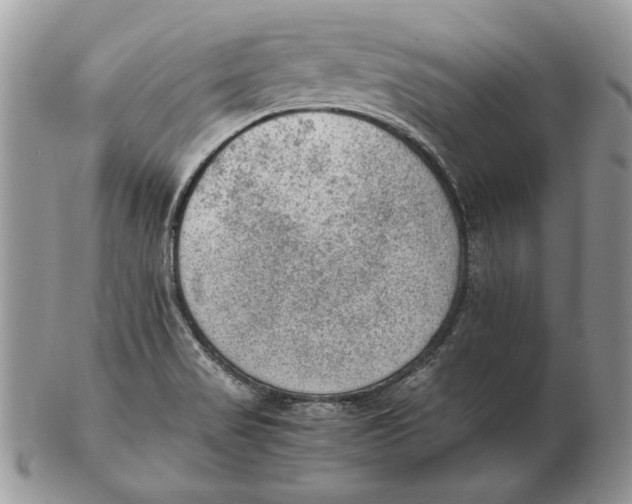 X0000102391517200808221813