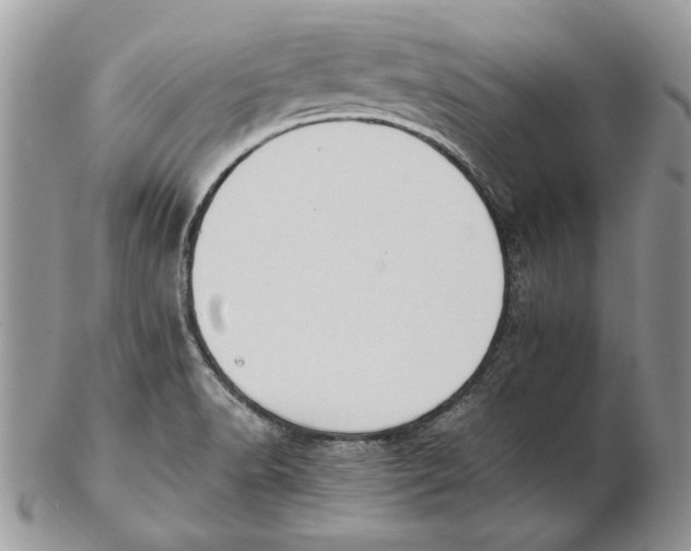 X0000102391518200808221813