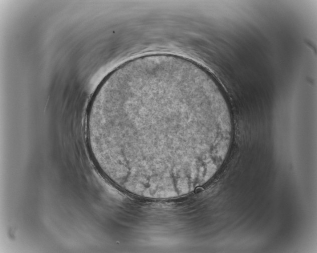 X0000102391519200808221813