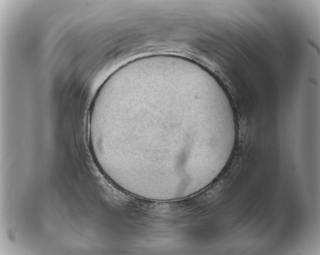 X0000102391520200808221813