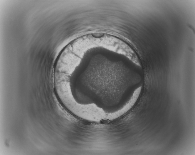 X0000102391522200808221813