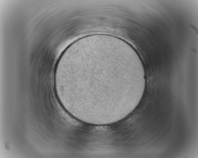 X0000102391523200808221813