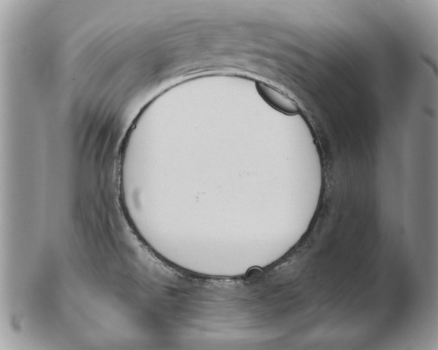 X0000102391526200808221813