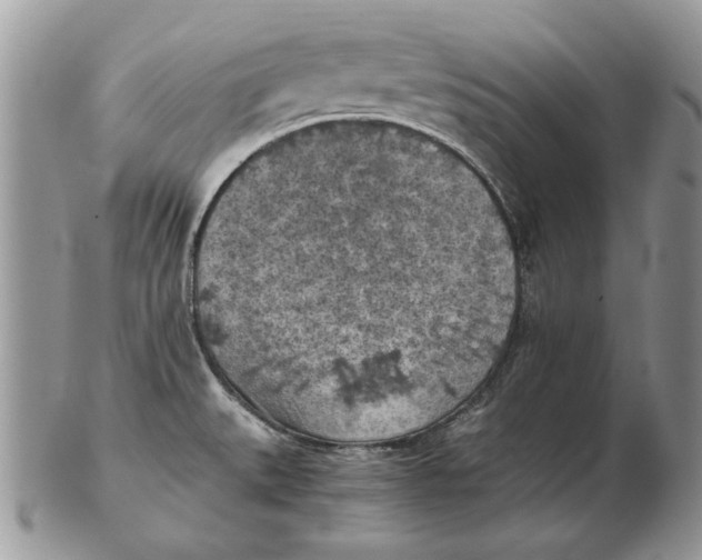 X0000102391527200808221813