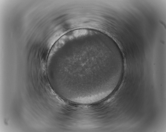 X0000102391529200808221813