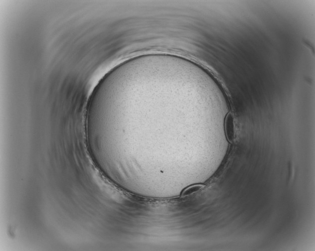 X0000102391530200808221813