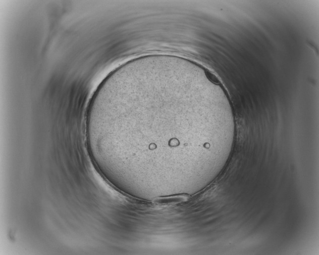 X0000102391531200808221813