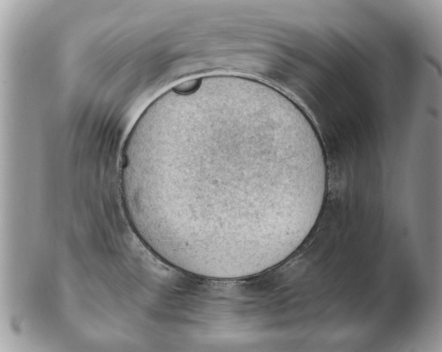 X0000102391532200808221813