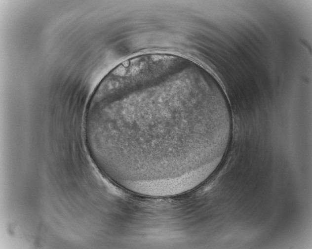 X0000102391533200808221813