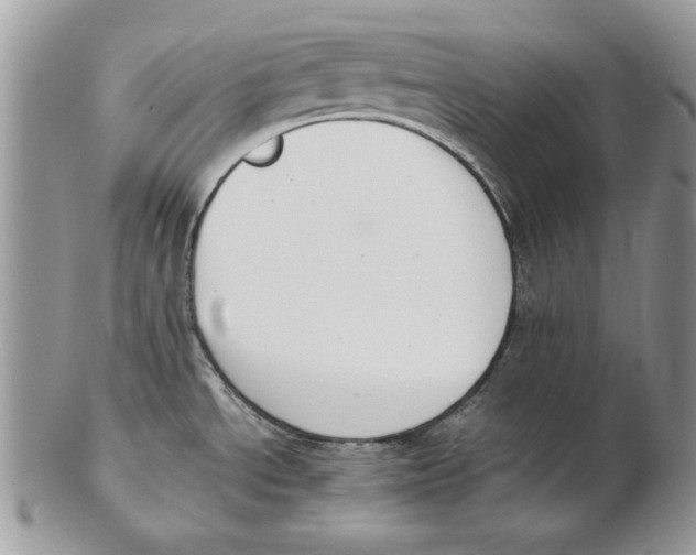 X0000102391534200808221813