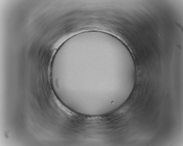 X0000102391535200808221813