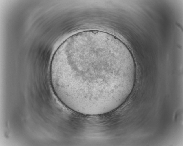 X0000102391536200808221813