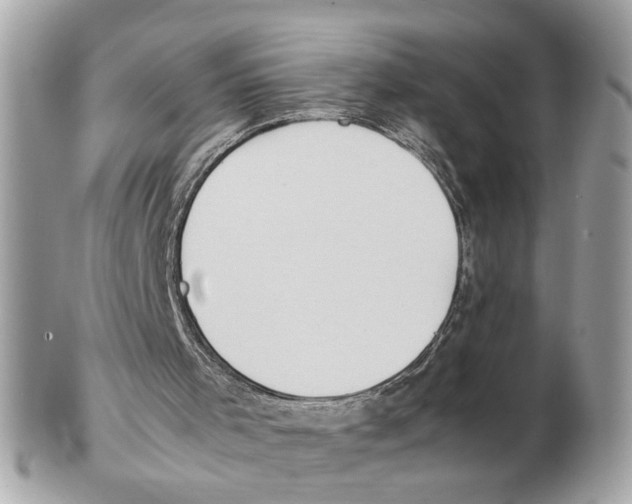 X0000102390001200808291434
