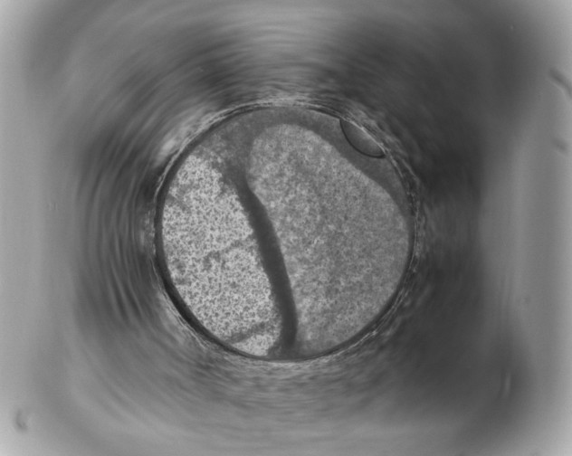 X0000102390002200808291434
