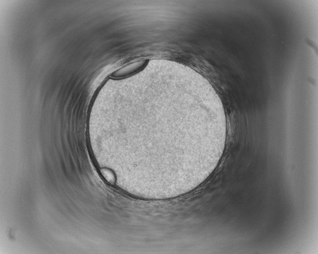 X0000102390003200808291434