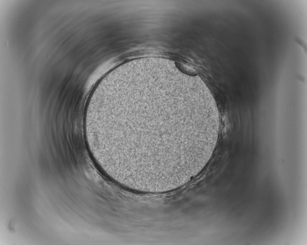 X0000102390004200808291434