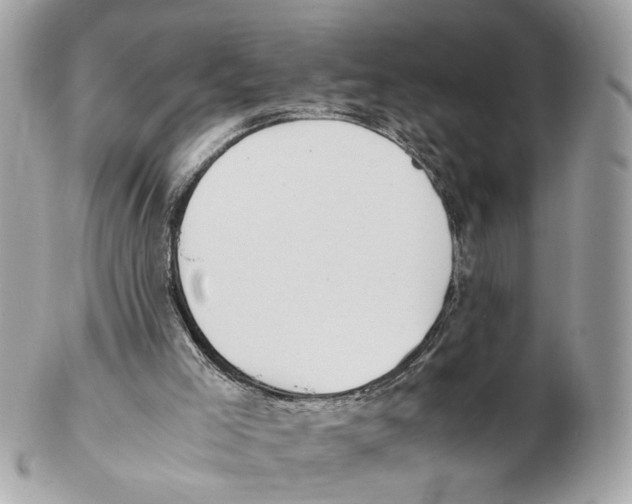 X0000102390005200808291434