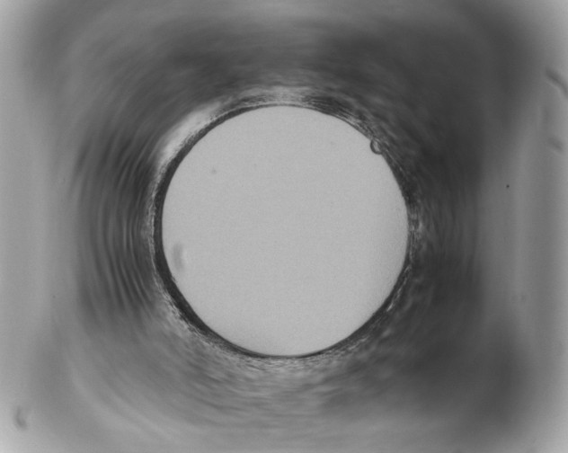 X0000102390006200808291434