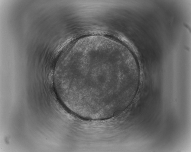 X0000102390009200808291433