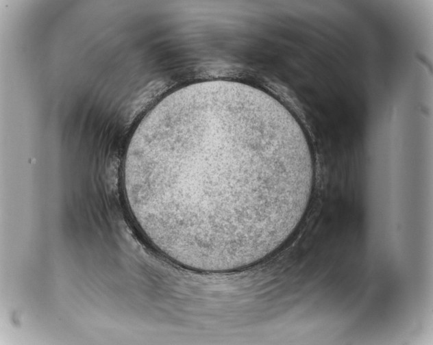 X0000102390010200808291433