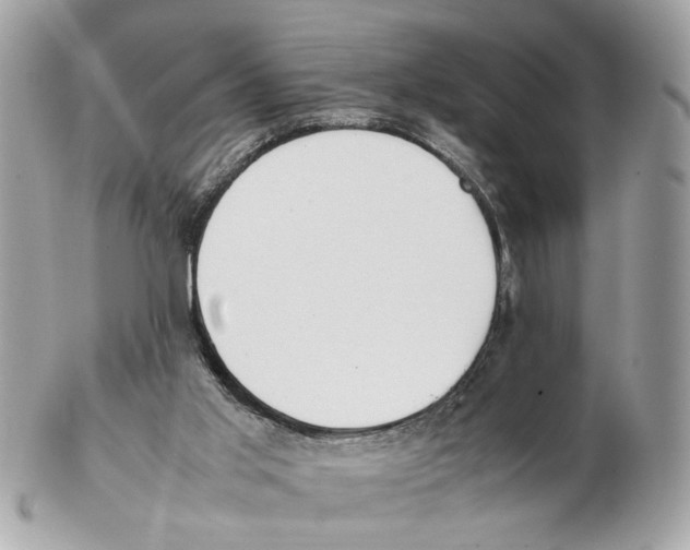 X0000102390013200808291433