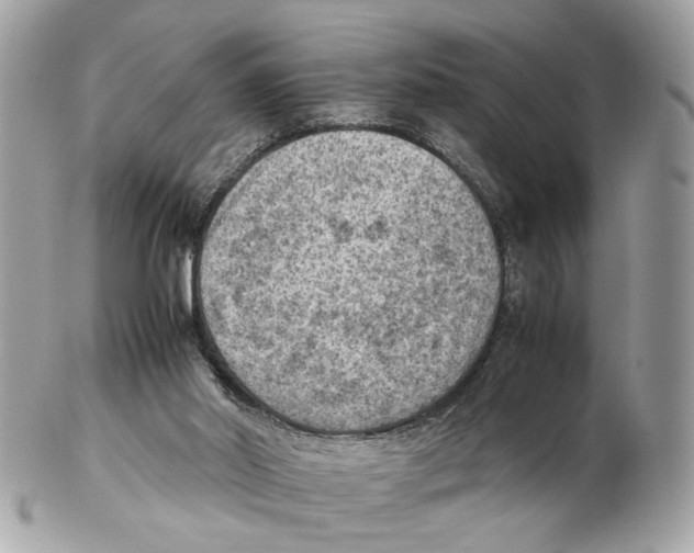 X0000102390014200808291433