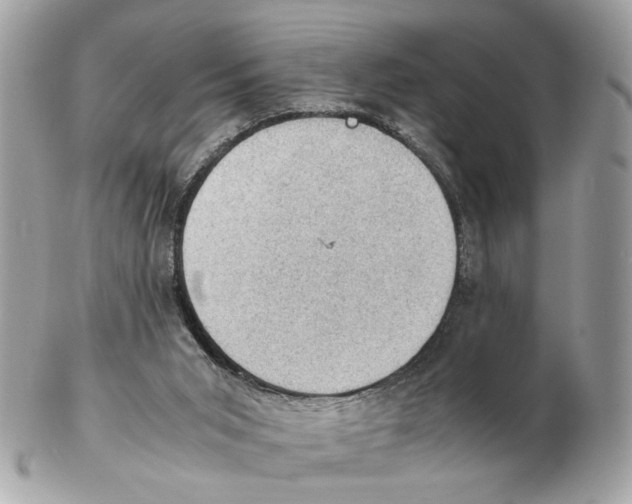 X0000102390015200808291433