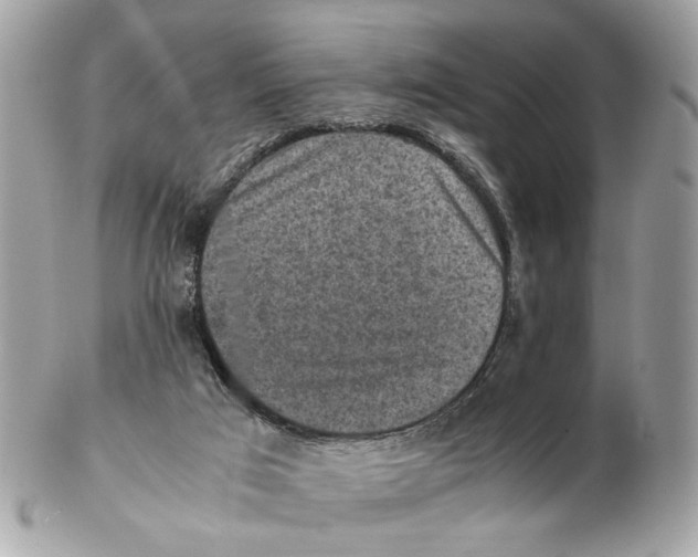 X0000102390017200808291433