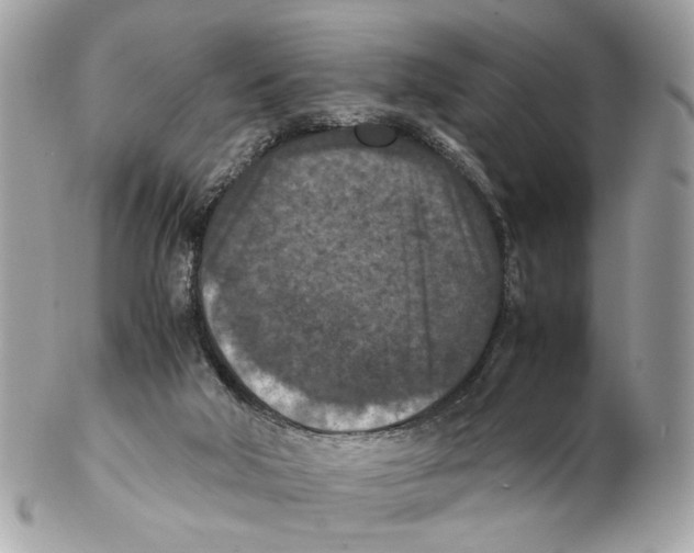 X0000102390018200808291433