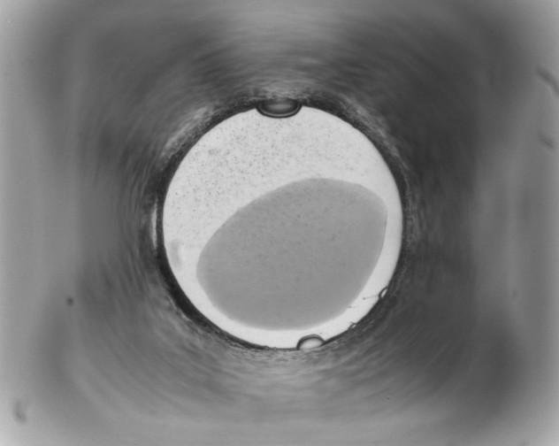 X0000102390019200808291433