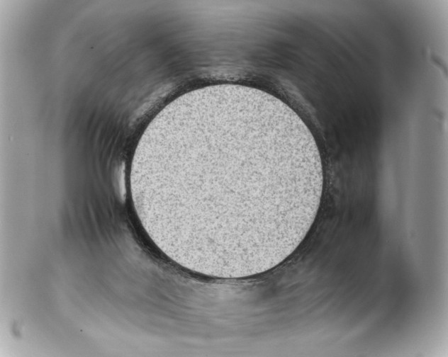 X0000102390020200808291433