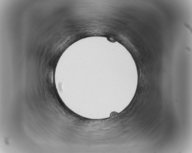 X0000102390021200808291433