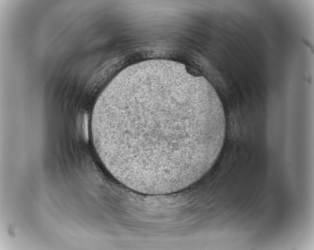 X0000102390022200808291433