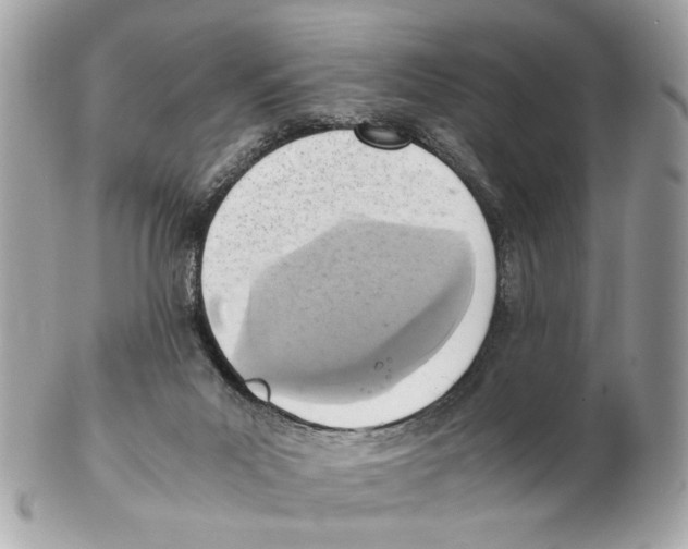 X0000102390023200808291433