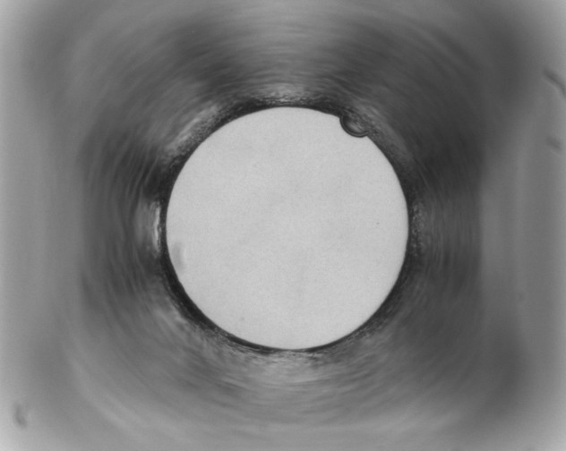 X0000102390024200808291433
