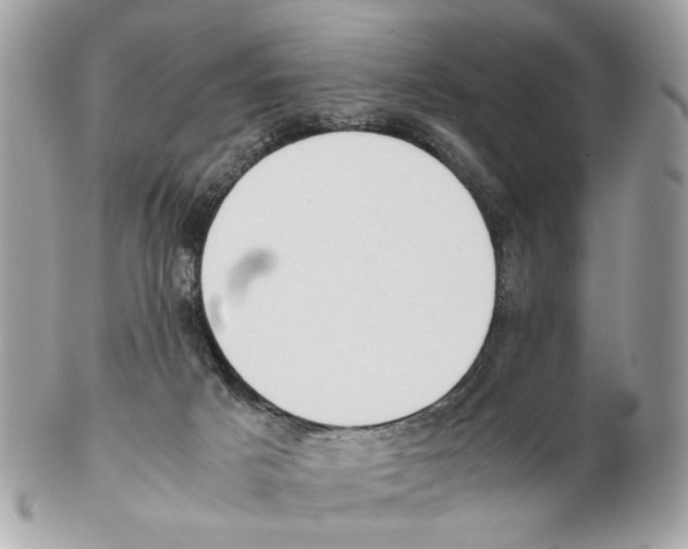 X0000102390025200808291433