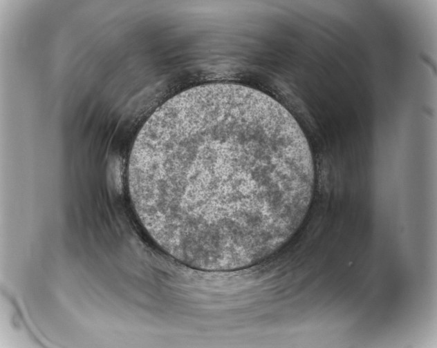 X0000102390026200808291433