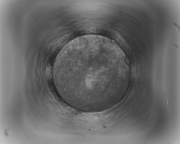 X0000102390029200808291433