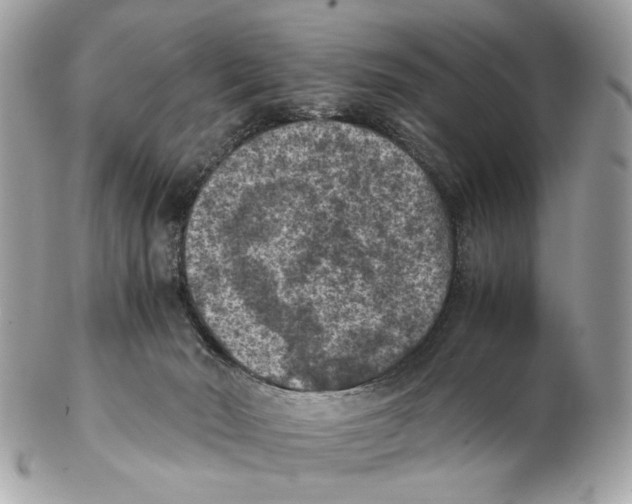 X0000102390030200808291433