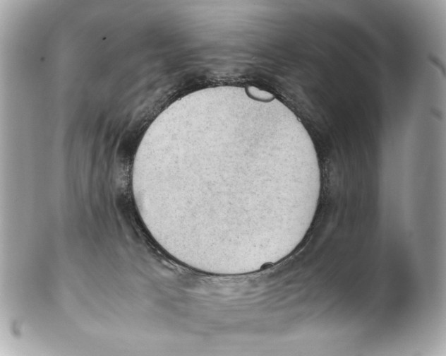 X0000102390033200808291433