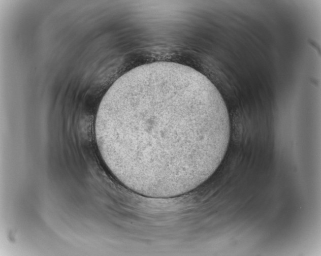 X0000102390034200808291433