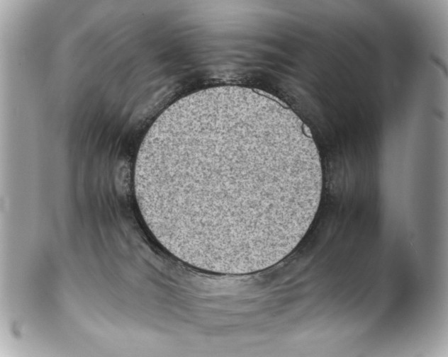 X0000102390036200808291433