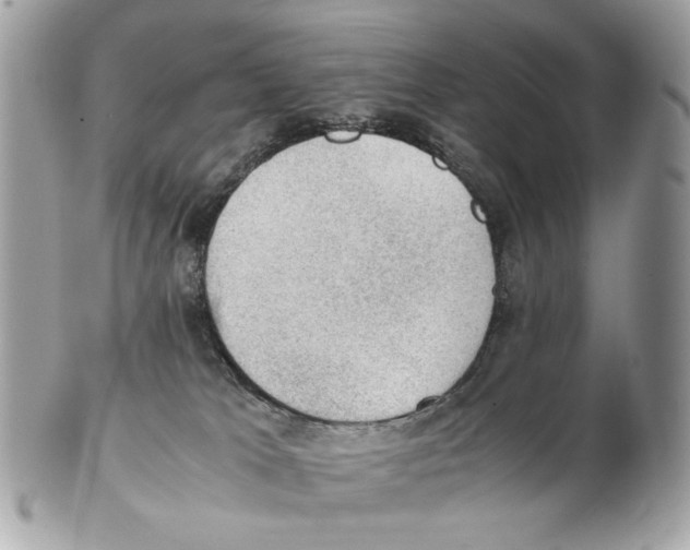 X0000102390037200808291433